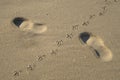 Footprints in the sand from the footsteps of a man and pigeon close