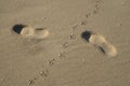 Footprints in the sand from the footsteps of a man and pigeon close