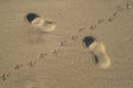 Footprints in the sand from the footsteps of a man and pigeon close