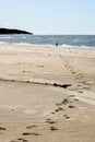 Footprints in the sand go a long way to the sea shore Royalty Free Stock Photo