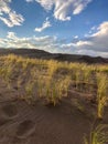 Footprints in the sand at Great Sand Dunes in Colorado Royalty Free Stock Photo