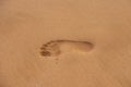 Footprints in the sand. Human foot prints on beach sand. Royalty Free Stock Photo
