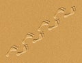 Footprints in the Sand Illustration Royalty Free Stock Photo