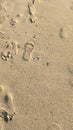 Footprints in the Sand at Kailua Beach in Oahu, Hawaii Royalty Free Stock Photo