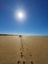 Footprints in the sand and a lonely man with a horse at the beach Royalty Free Stock Photo