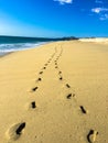 Footprints in the sand