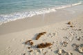 Footprints in the sand near the blue sea Royalty Free Stock Photo