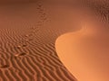 Footprints in the sand pattern Royalty Free Stock Photo