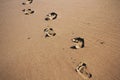 Footprints in the sand on Polzeath beach Vintage Retro Filter.