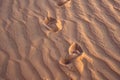 Footprints in the sand in the red desert at Sunrise Royalty Free Stock Photo