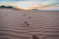 Footprints in the sand in the red desert at Sunrise Royalty Free Stock Photo