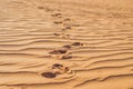 Footprints in the sand in the red desert at Sunrise Royalty Free Stock Photo