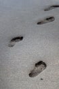 Footprints in the sand Royalty Free Stock Photo