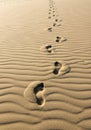 Footprints in the sand stretch into the distance, creating a path across the untouched, Royalty Free Stock Photo