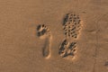 Footprints Royalty Free Stock Photo