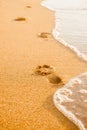 Footprints in the sand at sunset. Beautiful sandy tropical beach with sea waves. Footsteps on the shore. Royalty Free Stock Photo