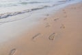 Footprints in the sand at sunset. Beautiful sandy tropical beach with sea waves. Footsteps on the shore.Sea, waves and Royalty Free Stock Photo