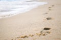 Footprints in the sand at sunset Royalty Free Stock Photo