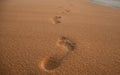 Footprints on the sand at sunset Royalty Free Stock Photo