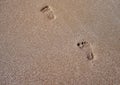 Footprints in the sand texture