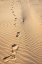 Footprints on Sand Texture Royalty Free Stock Photo