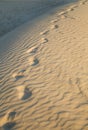 Footprints on sand Royalty Free Stock Photo
