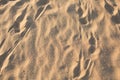 Footprints in the sand. traces. desert