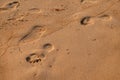 Footprints in the sand track, Candolim beach, Goa, India Royalty Free Stock Photo