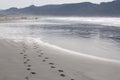 Footprints in the sand Royalty Free Stock Photo