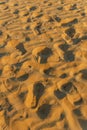 Footprints in the sand with the word summer