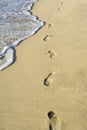 Footprints On Sandy Beach Royalty Free Stock Photo