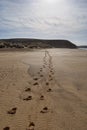 Footprints on sandy beach Royalty Free Stock Photo