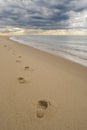 Footprints on a sandy beach, dark stormy clouds Royalty Free Stock Photo