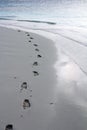 Footprints on the sandy beach Royalty Free Stock Photo