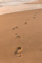 Footprints on sandy beach at sunrise Royalty Free Stock Photo