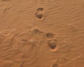 Footprints on sandy desert