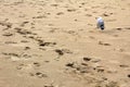 Footprints and seagull on the sandy beach on the Black Sea seaside at Obzor, Bulgaria Royalty Free Stock Photo