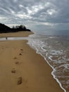 Footprints on a Serene Coastal Beach Under Overcast Sky Royalty Free Stock Photo