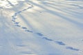 Footprints and shadows in the snow. Royalty Free Stock Photo