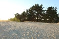 Footprints shoes and wind on the sand beach in the summer evening in the rays of the setting sun natural background Royalty Free Stock Photo