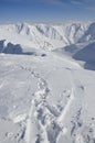 Footprints and ski and snowboard tracks in winter