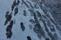 Footprints in the snow on a chilly winter morning creating a textured pattern on the ground Royalty Free Stock Photo