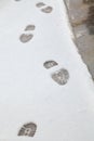 Imprint of shoes on white snow Royalty Free Stock Photo