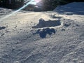 Footprints in the snow. Footprint in the fresh snow, winter Royalty Free Stock Photo