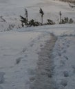 Footprints on the snow