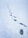 Footprints in the snow Royalty Free Stock Photo