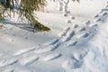 Footprints in the snow. Human footprint Imprint of shoes in the snow