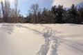 Footprints on snow left after a man walked. Track, tracks Royalty Free Stock Photo