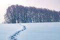 Footprints in the snow of a man left in the distance. Concept or