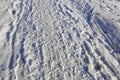 Footprints in the snow on the pavement Royalty Free Stock Photo